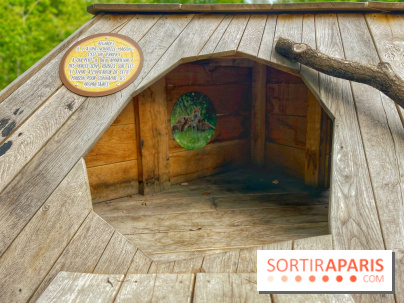 Mission Forêt - IMG 2156