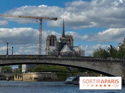 Brunch croisière à volonté sur la Seine – Le Diamant Bleu Paris - IMG 5068