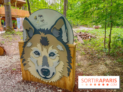 La Forêt des Loups - IMG 2086