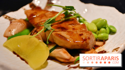 Ayako Paris, le restaurant pour les amoureux du Teppanyaki - DSC 3964 Fotor