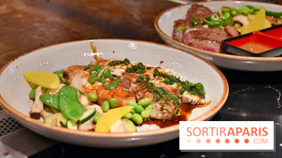 Ayako Paris, le restaurant pour les amoureux du Teppanyaki - Fotor