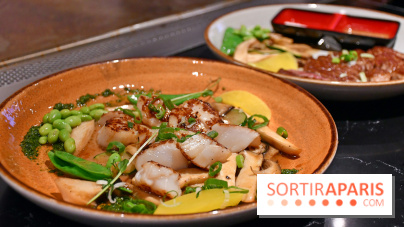 Ayako Paris, le restaurant pour les amoureux du Teppanyaki - DSC 4003 Fotor