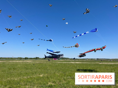 Festival de Cerfs-Volants à la Base 217 - IMG 2190