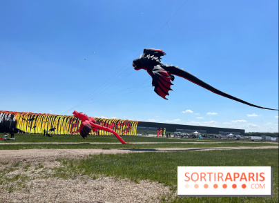 Festival de Cerfs-Volants à la Base 217 - IMG 2209