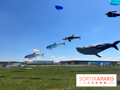 Festival de Cerfs-Volants à la Base 217