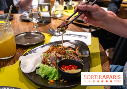 Comme au Vietnam, restaurant vietnamien Paris 13e - salade de boeuf