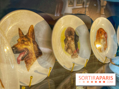 Collection dédié aux chiens