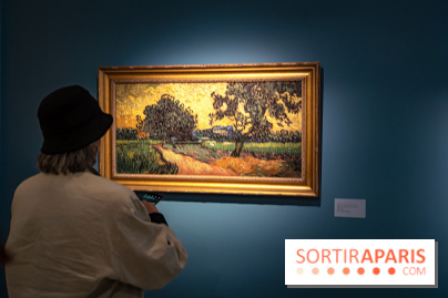 Exposition Van Gogh, les derniers voyages - photos