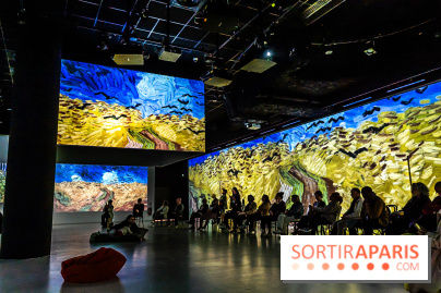 Exposition Van Gogh, les derniers voyages - photos