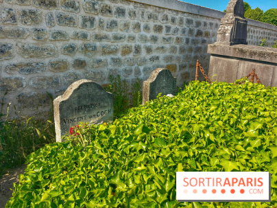 Encore plus d'Auvers-sur-Oise - IMG 2410