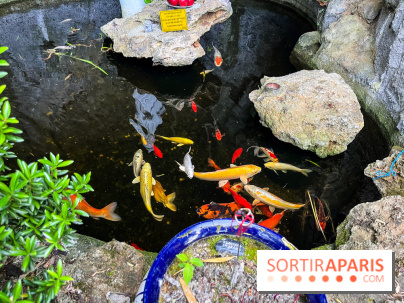 La pagode Trúc Lâm Thiền Viện - nos photos - image00021