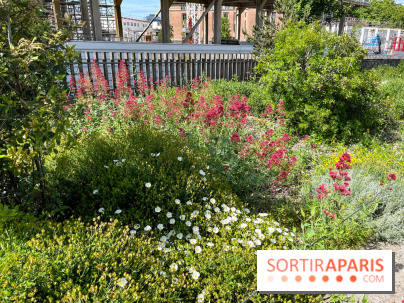 Jardin Anna Marly - nos photos