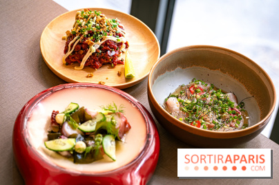 Restaurant Audass' Asnières-sur-Seine, izakaya fusion japonais - A7C00288