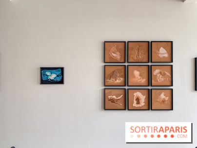 Exposition de Fred Atlan à la galerie Rachel Hardouin : au creux de mes paupières