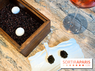 Restaurant Alan Geaam - Meringue de caviar et labneh