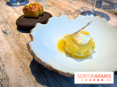 Restaurant Alan Geaam - L'Ananas Victoria Arak, fenouil, pignon de pain