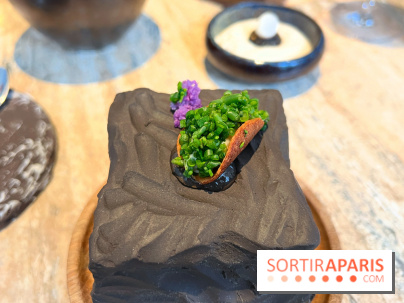 Restaurant Alan Geaam - Tacos de baba ganoush, feuille d'huître, raisin de mer