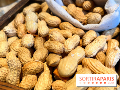 Restaurant Alan Geaam - Cacahuète au foie gras, combava, piment de cayenne