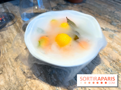 Restaurant Alan Geaam - Citron à l'azote