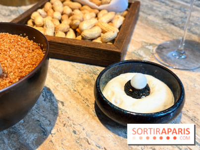 Restaurant Alan Geaam - Mini falafel, labhan, vierge de pois chiche, pickles radis