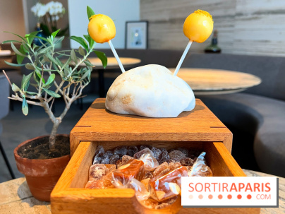 Restaurant Alan Geaam - Sucette de mouhalabieh, miel et pollen