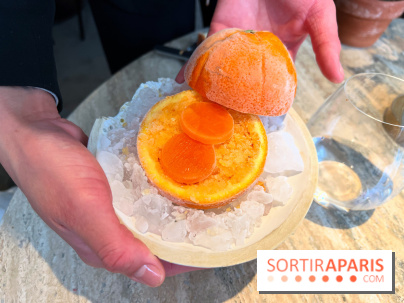 Restaurant Alan Geaam - Fraicheur givrée d'agrumes