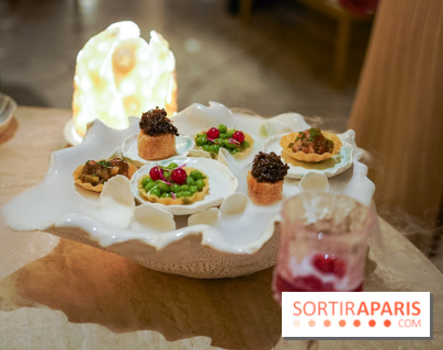 L'Orangerie, le restaurant 2 étoiles du George V - les photos  - A7C03577