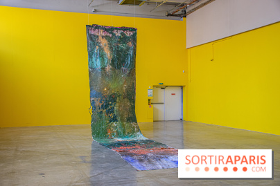 Exposition Disco de Vivan Sutter au Palais de Tokyo - DSC 3067