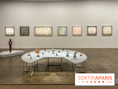 Exposition de Thảo Nguyên Phan au Palais de Tokyo - IMG 5831