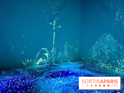 Topologie de l’Eau : Roches, Plantes et Vent - IMG 3240