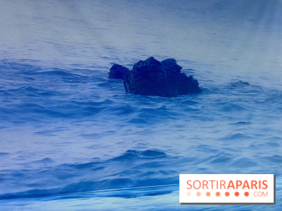 Topologie de l’Eau : Roches, Plantes et Vent - IMG 3250