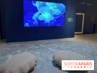 Transparence au Palais des enfants - nos photos - A9C8FEA1 98EA 4475 B97F A6EDF86F4C96