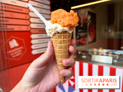 La Glace Alain Ducasse - Sorbet pamplemousse-vermouth, glace cacahuètes