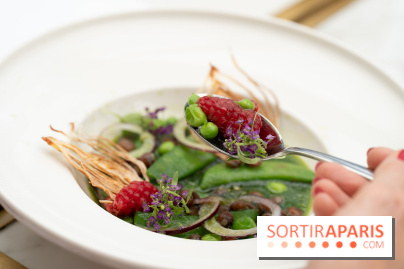 Maison Delano restaurant et terrasse cachée Paris 8e - Jardin des pois