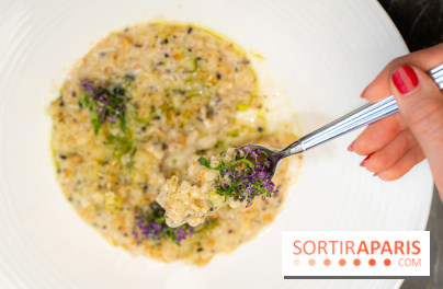Maison Delano restaurant et terrasse cachée Paris 8e - céleri façon risotto