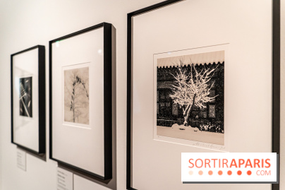 Exposition Haïkus d’argent, l’Asie photographiée par Michael Kenna au MuséeGuimet, les photos - A7C02203