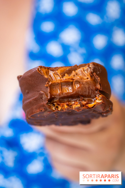 Les bouchées glacées de la Chocolaterie William Artigue, les esquimaux gourmands