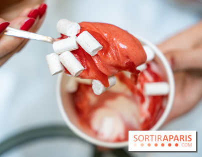 Les glaces gourmandes de l'Épicerie du Bristol - les photos - A7C03271