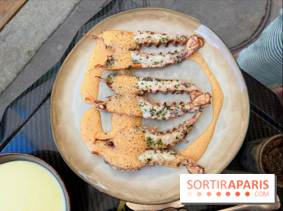 Divellec - Langoustines grillées