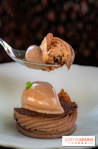 Restaurant Papylles à Bois-le-Roi - les photos - Le chocolat 66% Nicolas Berger En texture et en crémeux, praliné au grué de cacao, sorbet chocolat