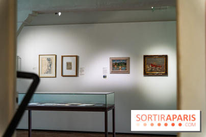 Le Musée Stéphane Mallarmé - 77 - les photos - A7C02425