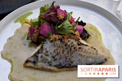 Felini, le bistro franco-italien gourmand du côté de Saint-Georges à Paris - IMG 2100