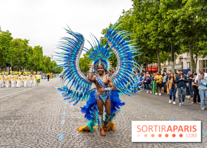 Le Carnaval Tropical 2025, les photos  - A7C05787