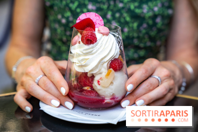 Les glaces et coupes glacées de Pierre Hermé pour l'été  - A7C04944