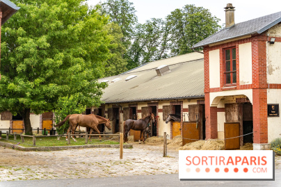 Visite guidée de l'École Mlitaire d'Équitation