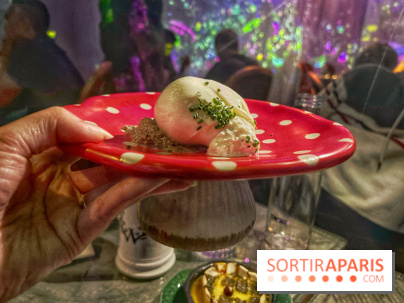 Wonderwoods - IMG 3707