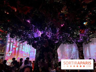 Wonderwoods