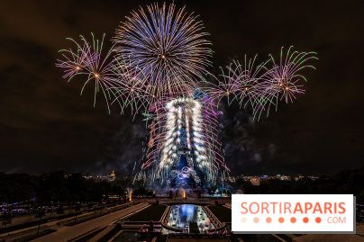 Le feu d’artifice du 14 juillet 2025 de Paris - les photos