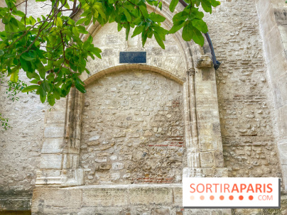 Jardin Médiéval du Musée de Cluny - IMG 3873