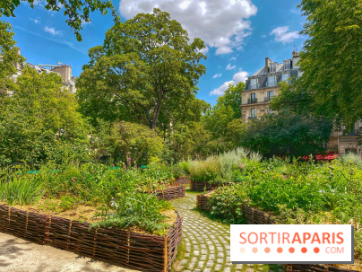 Jardin Médiéval du Musée de Cluny - IMG 3877